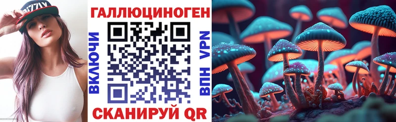 Купить где  Бугульма  Псилоцибиновые грибы Cubensis 